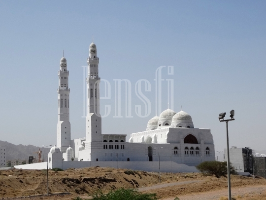 Mohamed al-Ameen mosque